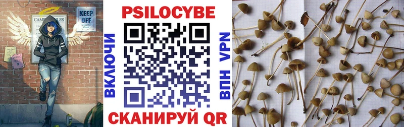Псилоцибиновые грибы мицелий  Светогорск 